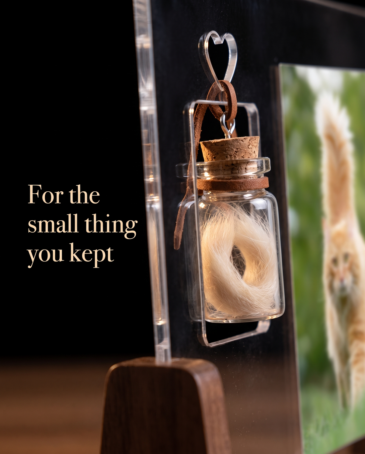 The Memory Light - Personalised Pet Memorial